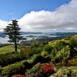 Things to Do in Dunedin With Kids Featured image
